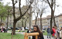 Фото 8: У сквері біля цирку висадили алею пам’яті загиблих героїв