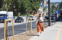 Фото 30: У Львові для проїзду відкрили вул. Шевченка: від завтра нею поїде громадський транспорт (відео)