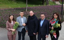 Фото 2: 200 тисяч тюльпанів Нідерланди вже подарували Львову: чи побільшає їх у місті наступного року? (відео)