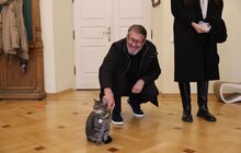 Фото 18: Благодійна організація GEM відновила у Львові вже більше 2200 вікон, які пошкодили російські ракети (відео)