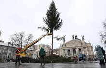 Фото 6: Головну ялинку Львова відвезли на компостування (відео)