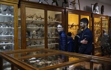 Фото 34: Міжнародний день музеїв у Львові відвідали майже 13 тисяч осіб