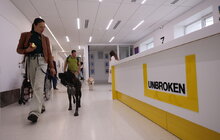 Фото 5: Пухнасті терапевти: як у Львові навчають собак допомагати пораненим (фото/відео)