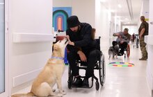 Фото 8: Пухнасті терапевти: як у Львові навчають собак допомагати пораненим (фото/відео)