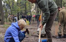 Фото 1: Сьогодні в одному із парків Львова висадили понад 400 дерев