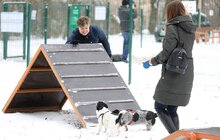 Фото 8: У Львові облаштували ще один тренувально-вигульний майданчик для собак