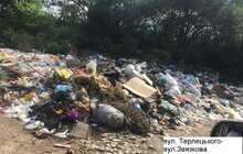 Фото 5: У місті 265 майданчиків, де ситуація з вивезенням сміття критична 