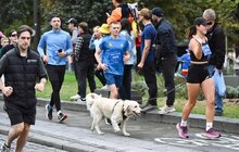 Фото 1: У Львові відбувся благодійний забіг «Meest Run the World — 2026»: для військових зібрали 250 тис. грн (фото)
