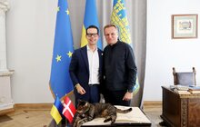Фото 1: 40 тисяч банок за годину: у Львові запрацювала нова лінія на пивоварні (відео)