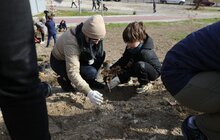 Фото 11: У Львові біля лікарні швидкої медичної допомоги висадили «Сад Здоров’я»