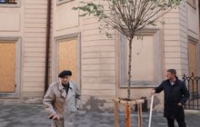 Фото 9: Замість поваленої буревієм тополі – 7 робіній: на площі Катедральній висадили нові дерева