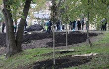 Фото 27: У Львові висадили 96 іменних дерев, присвячених загиблим Героям