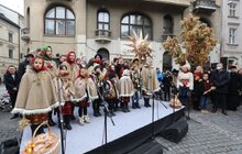 Фото 9: У Львові встановили головного Дідуха міста