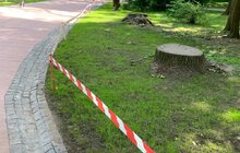 Фото 1: У парку імені Івана Франка облаштовують благоустрій