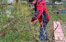 Фото 3: У дитсадку «Левомрій» висадили нові дерева та кущі