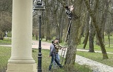 Фото 3: У парку ім.І.Франка встановили гніздівлі