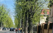 Фото 1: Цьогоріч пішохідне огородження у Львові фарбують у сірий колір: у всіх районах міста триває весняне прибирання