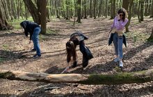 Фото 2: І прибрали, і гарно провели час: вимушено переміщені українці долучились до загальноміської толоки у Львові