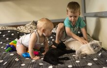 Фото 8: У Львові для переселенців та врятованих ними котів влаштували фотосесію