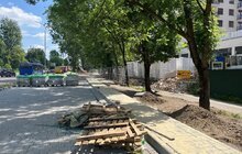 Фото 5: На вул. Липинського, 56 забудовника зобов’язали розчистити стовбури дерев і огородити їх
