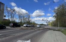 Фото 3: Через сильний вітер у Львові фіксують повалені дерева: комунальники працюють над ліквідацією наслідків