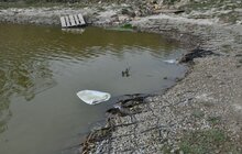 Фото 10: Виявлено порушення при використанні парком «Знесіння» коштів та майна