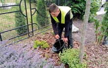 Фото 5: Щоб вберегти молоді дерева від спеки: працівники комунальних підприємств Львова встановлюють спеціальні мішки для поливу