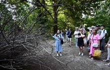 Фото 8: У Львові стартував Лендарт-фестиваль: місто прикрасять 10 артоб’єктів із природних матеріалів (фото)