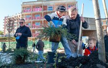 Фото 1: Мешканці соціального житла на вул. Миколайчука разом озеленили свій простір (відео)