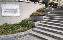 Фото 11: Санітарна обрізка, догляд та пересадка рослин: на площі Митній упорядкували клумби