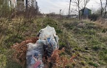 Фото 4: В рамках ініціативи «Я допомагаю місту» до прибирання сьогодні долучилось 20 волонтерів
