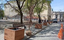 Фото 4: На вул. Л. Українки відремонтували тротуар та висаджують клени