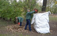 Фото 7: «Львівська пивоварня» прибрала парк ім. І. Франка