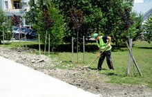Фото 5: Велопростір Львова збільшується: на пр. Чорновола тривають роботи з будівництва велодоріжки