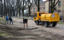 Фото 10: У Львові розпочали прибирання парків та весняну висадку дерев