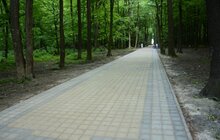 Фото 9: На Сихові розпочали роботи з облаштування парку духовної культури