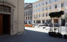 Фото 6: На пл. Катедральній висадили 10 кулястих кленів у горщиках 