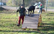 Фото 23: ЛКП «Лев» облаштувало тренувально-вигульний майданчик на вул. Промисловій