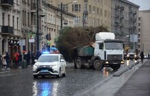 Фото 4: У Львові встановили головну новорічну ялинку: за тиждень її урочисто відкриють