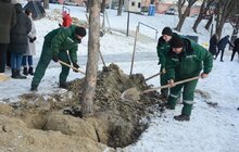 Фото 25: На Меморіалі пам’яті Героїв Небесної Сотні висадили сосни