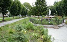 Фото 8: У Львові облаштували новий громадський простір на вул. Гашека