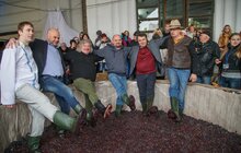 Фото 6: «Навіть у низький туристичний сезон Свято Сиру і Вина відвідало понад 15 тис. львів’ян та гостей міста», - А. Сидор