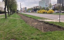 Фото 6: Цього року у Львові облаштують велосипедні доріжки на 4 магістралях — вул. Сихівській, Любінській, Кн. Ольги та пр. Чорновола