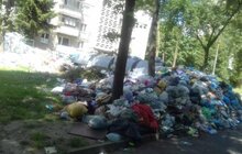 Фото 50: У місті на кінець дня переповненими є 192 майданчики у 4 районах міста