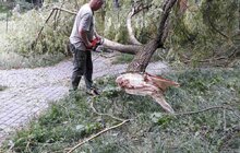 Фото 16: «До прибирання міста було задіяно сьогодні 1694 працівники комунальних підприємств і 72 одиниці техніки», - І. Маруняк
