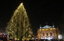 Фото 14: У Львові відкрили центральну міську ялинку