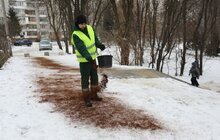 Фото 12: У парку Львова вперше використали кавову гущу для боротьби з ожеледицею