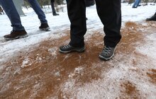 Фото 15: У парку Львова вперше використали кавову гущу для боротьби з ожеледицею