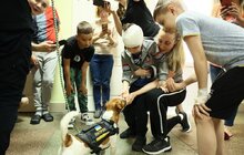 Фото 1: Найпопулярніший пес України відвідав юних пацієнтів у лікарні Св. Миколая у Львові