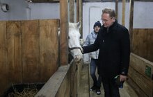 Фото 33: У мерії розглядають можливості комплексного розвитку парку «Знесіння» і Домівки врятованих тварин